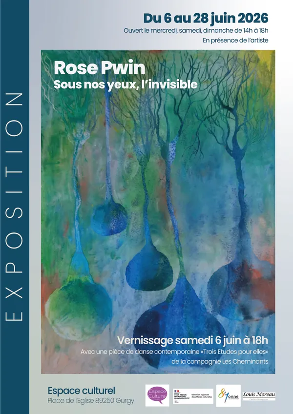 Exposition "sous les yeux, l'invisible" de Rose Pwin