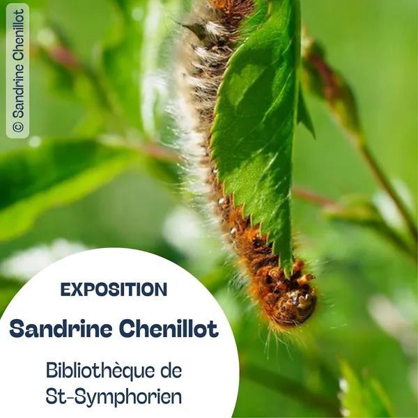 Exposition : Le grand monde des petites bêtes