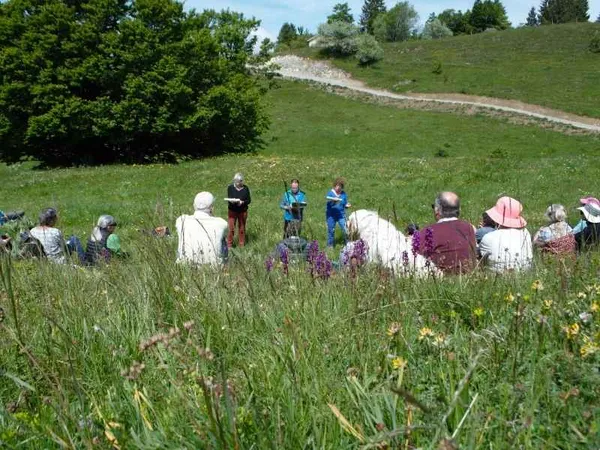 Festival de Musique du Haut-Jura : La Caravane Musicale – Randonnée poétique et musicale