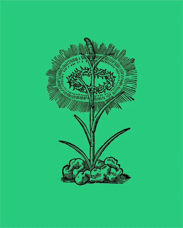 Nisi Dominus / Festival international d'opéra baroque
