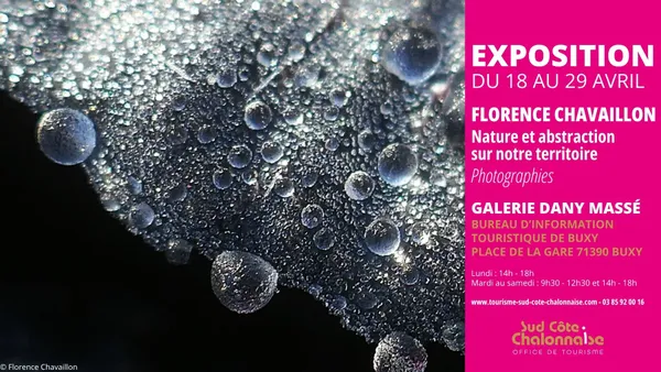 Florence Chavaillon - Nature et abstraction sur notre territoire