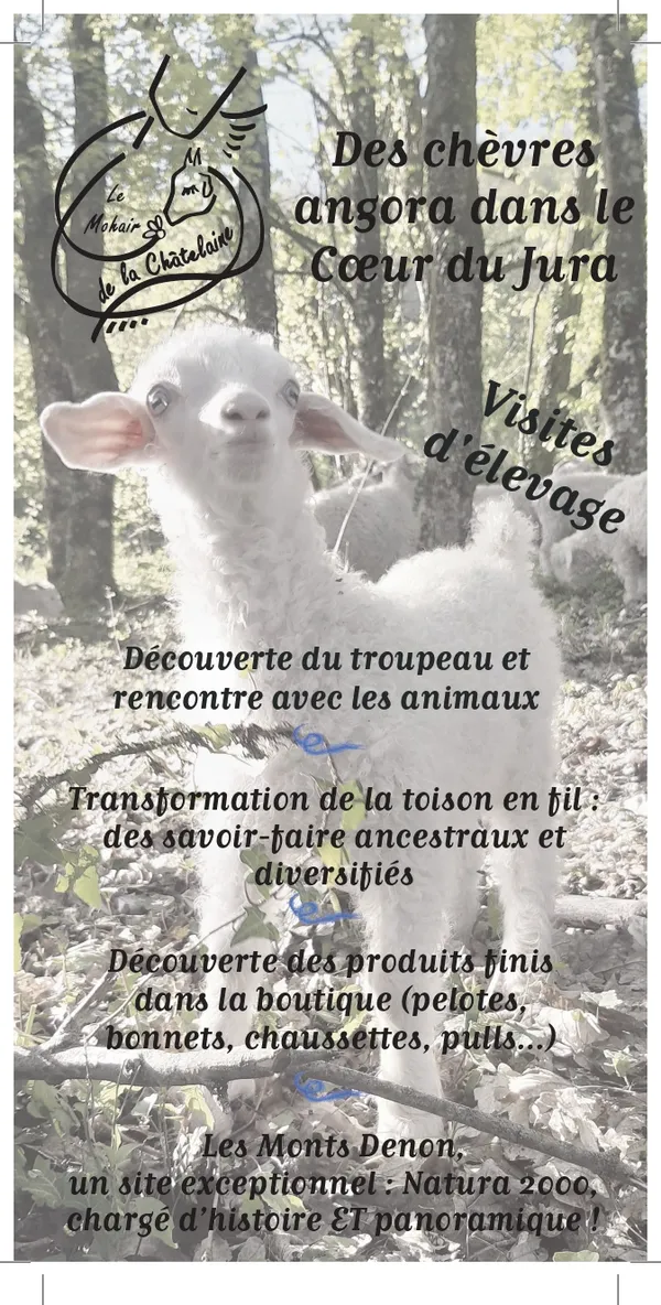 Média additionnel 1