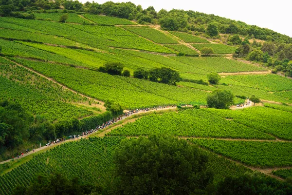 Ultra Trail des 2 Roches