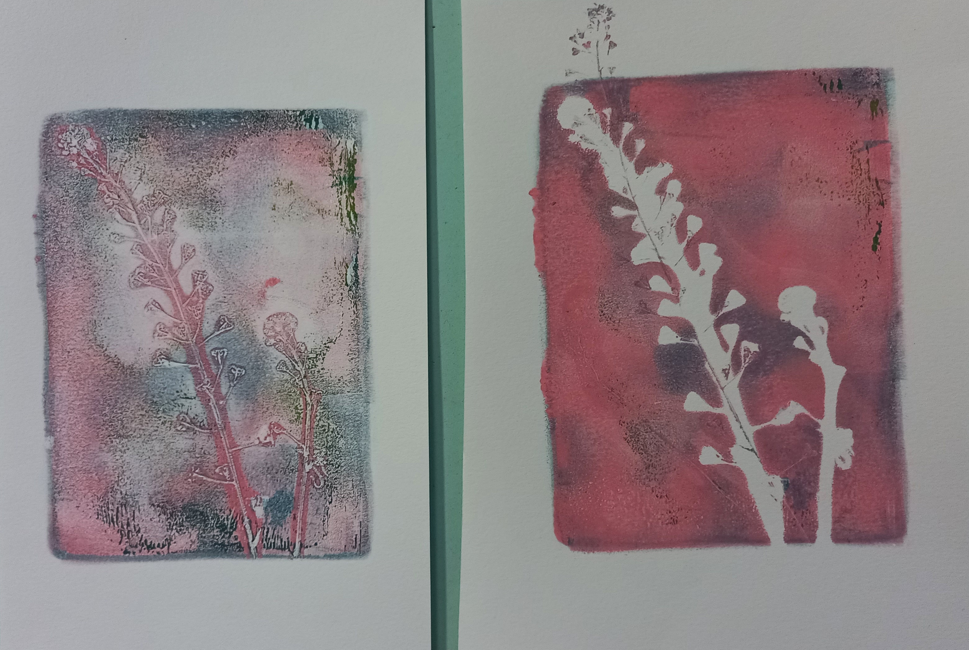 Atelier Gelly Print (impression végétale) - Atelier pour les 7/12 ans