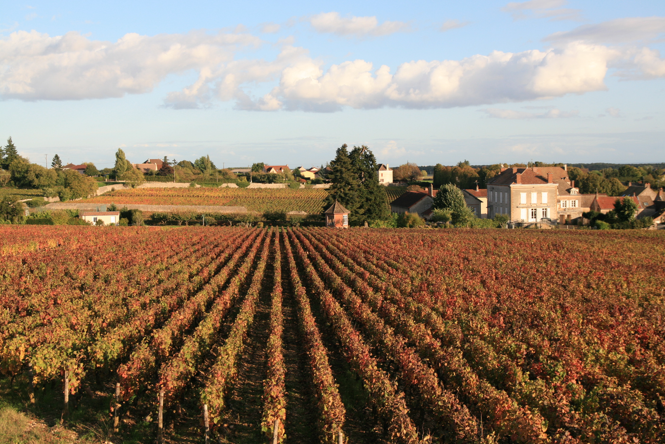 Domaine Jeannin-Naltet Vente privée Dijon