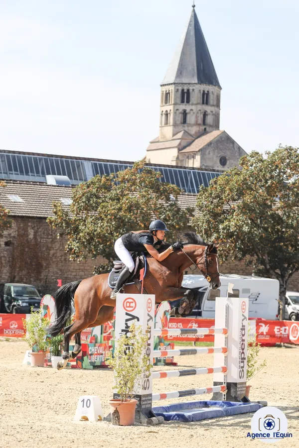 Concours Hippique - Saut d'obstacle Pro- Amateur