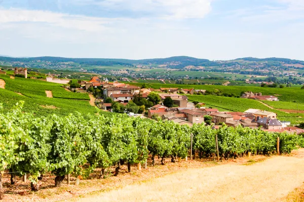 Découverte de village : Fuissé, une passion des hommes pour la vigne