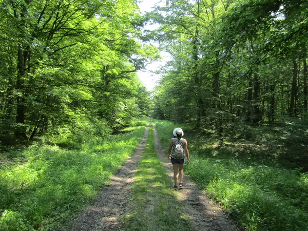 Petite randonnée