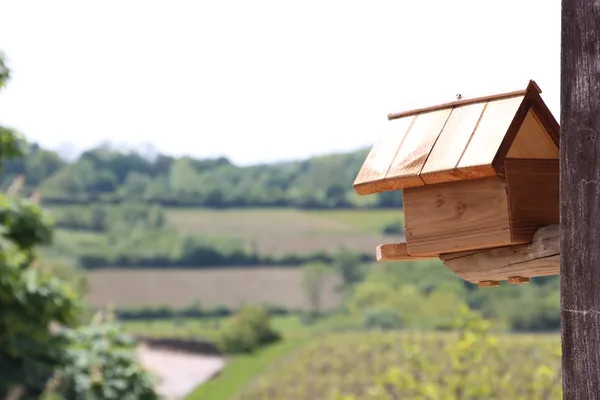 Atelier : un toit pour nos amis à plumes