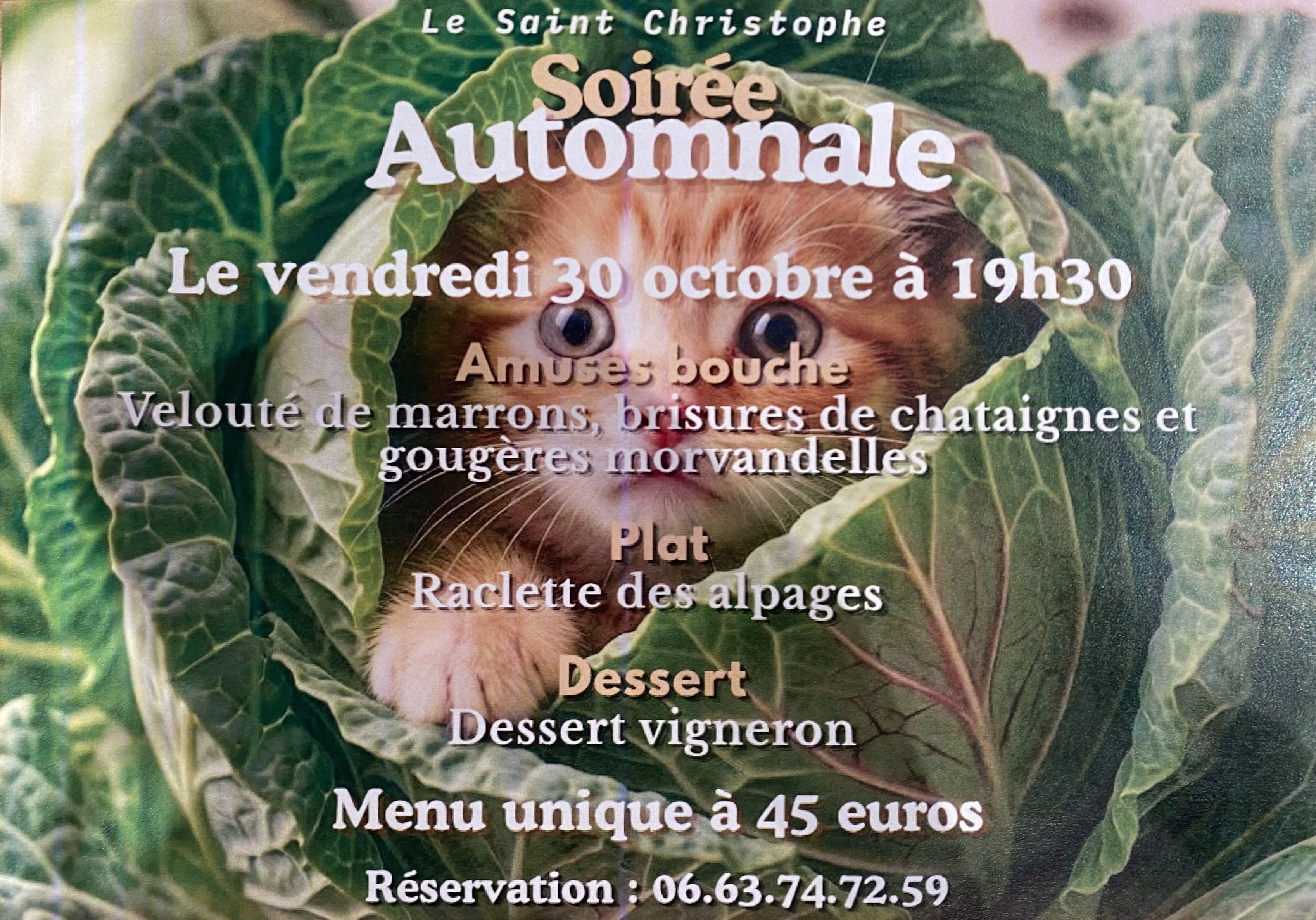 Soirée automnale