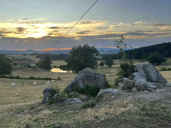 ANNULÉ - 50 km à la frontale