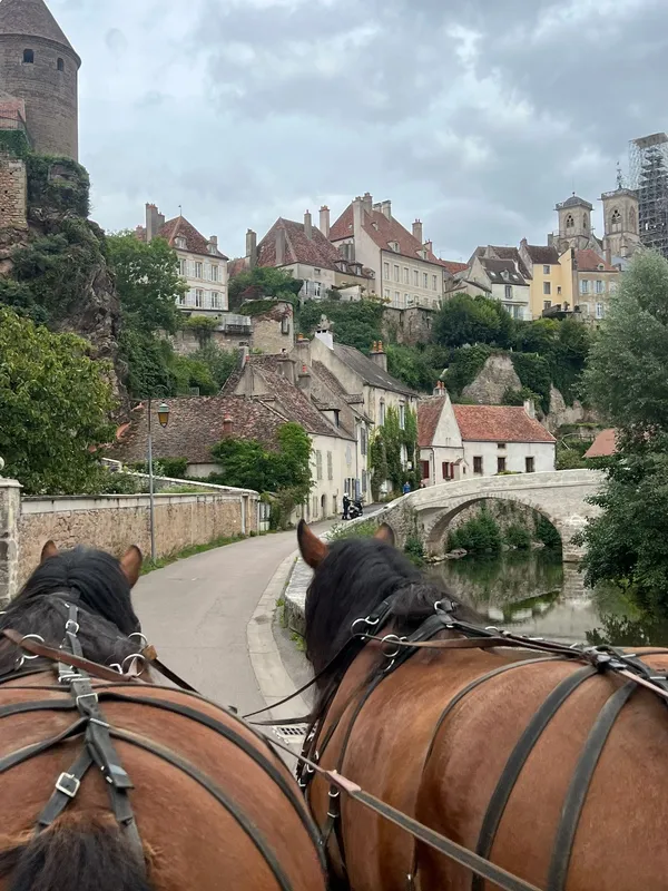 Balade de l'Armançon en calèche