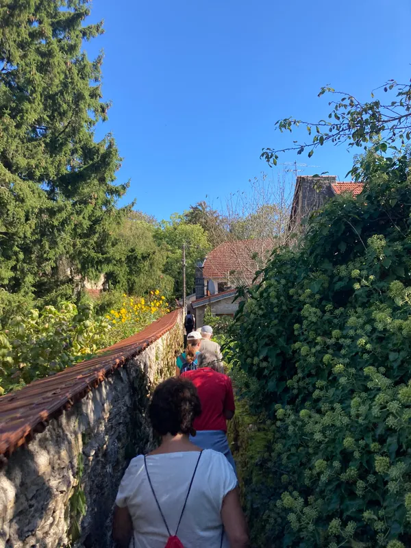 Visite guidée
