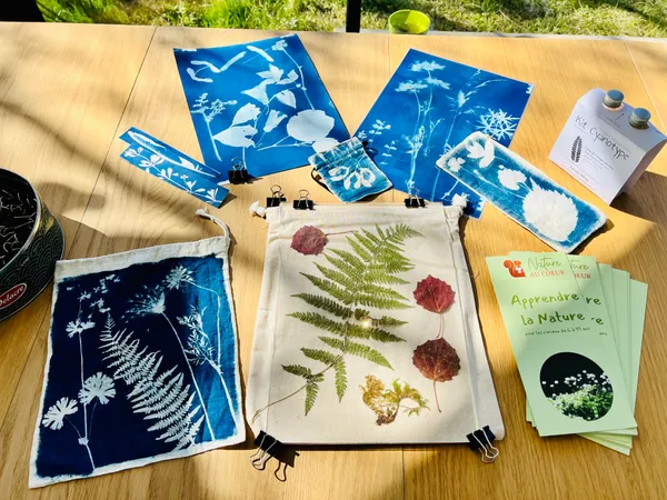 Atelier nature : Herbier cyanotype