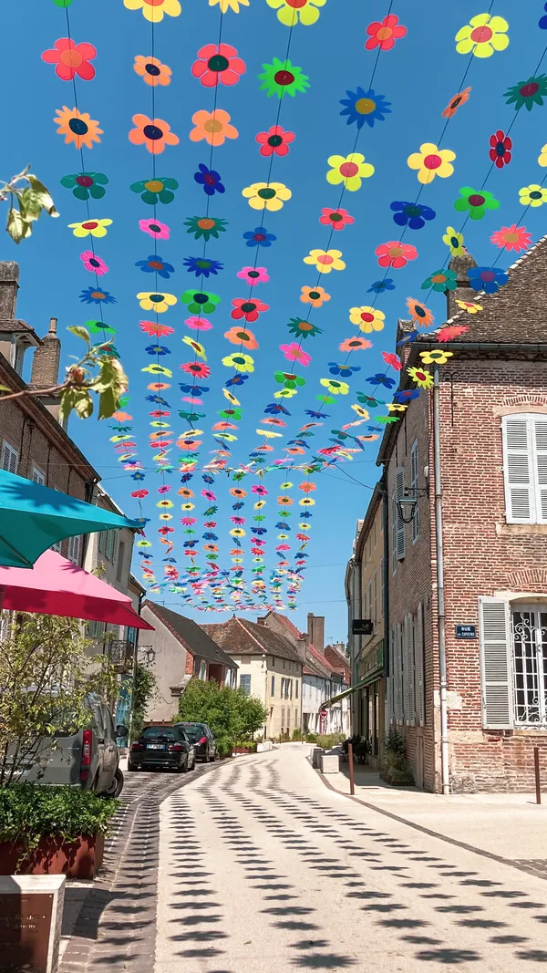 Visite de Seurre