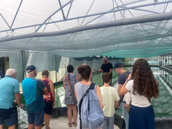Visite d'une ferme à spiruline