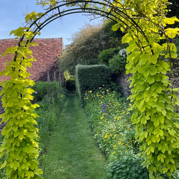 Rendez-vous aux jardins : jardin des Clématites