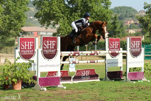 Concours Hippique - SHF jeunes chevaux