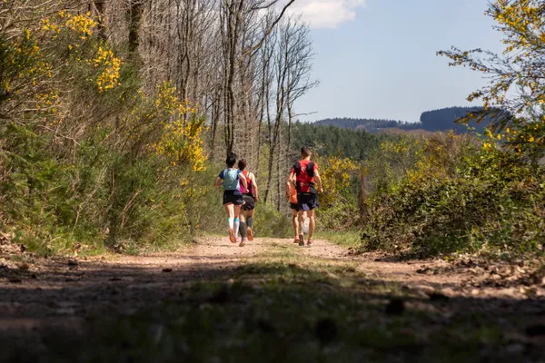 Festi Trail