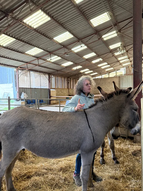 Visites guidées à la ferme