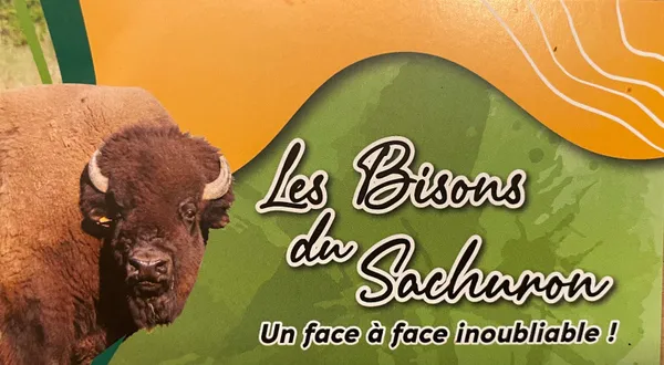 Un dimanche à la ferme - Les bisons du sachuron