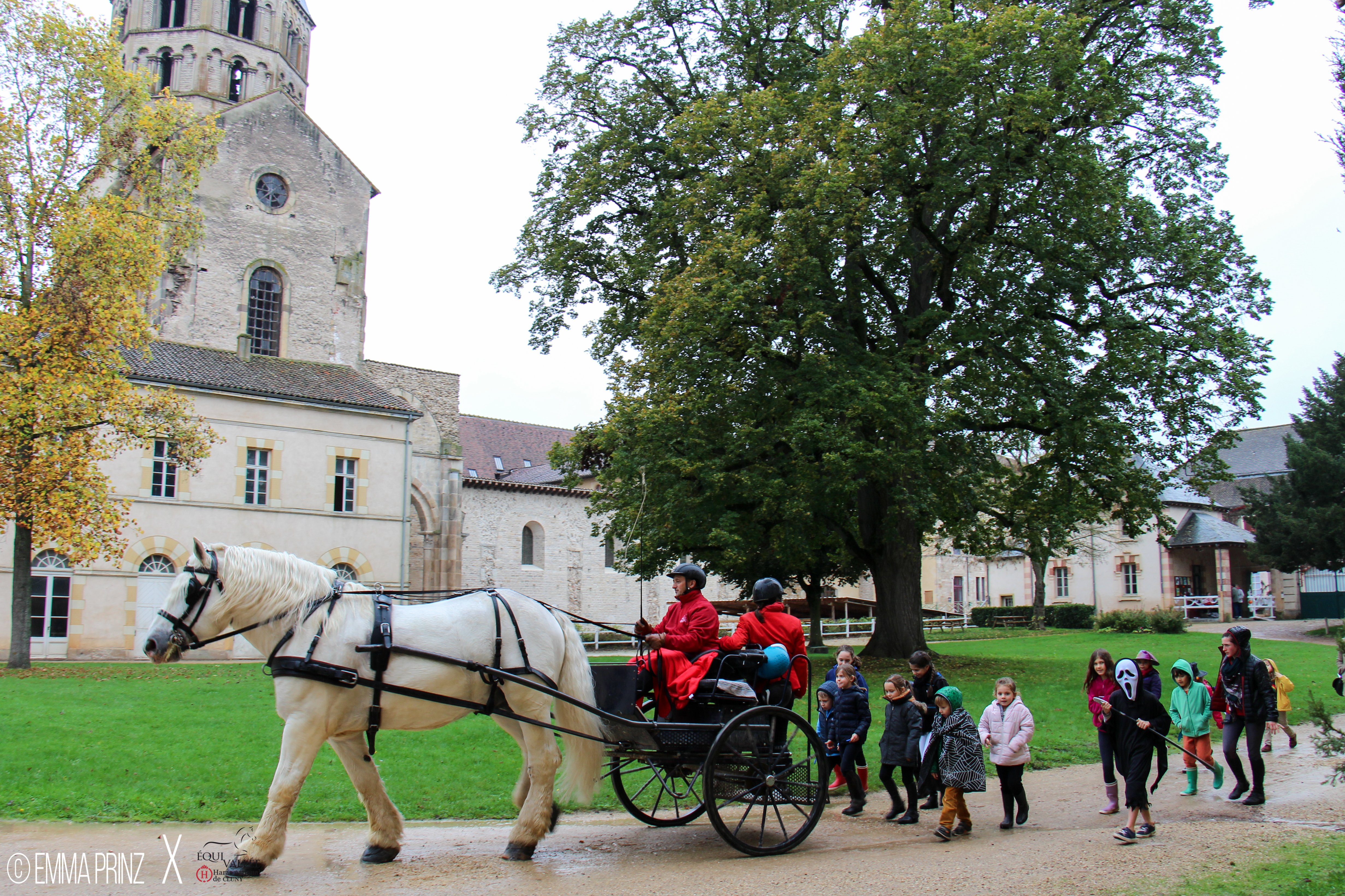 Halloween au Haras