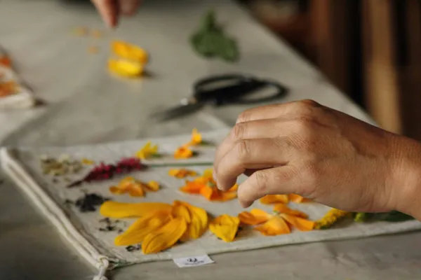 Atelier Impressions végétales