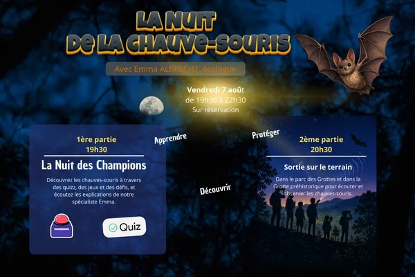 Nuit de la chauve-souris