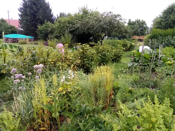 Bienvenue dans mon jardin au naturel : chez Christian & Catherine