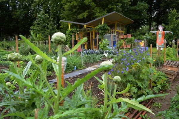 Bienvenue dans mon jardin au naturel, pour l'eau et la santé