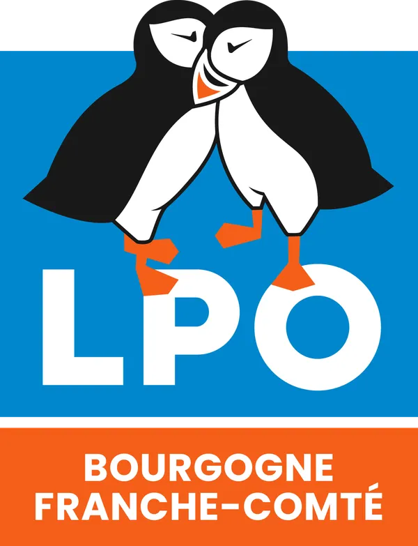 Le blaireau