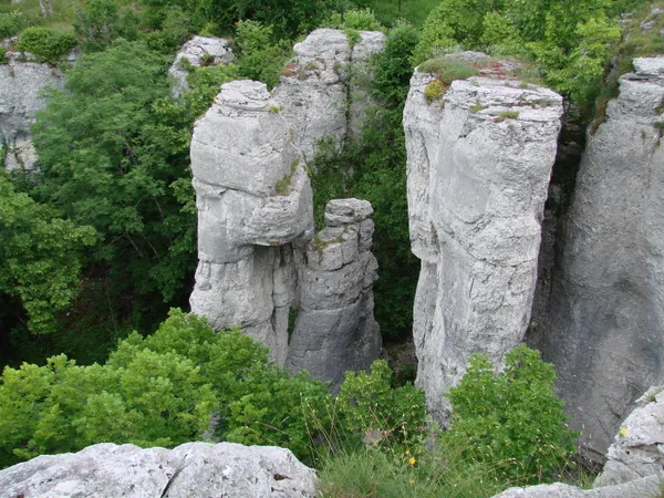 Randonnée-découverte de la Combe aux Mammouths