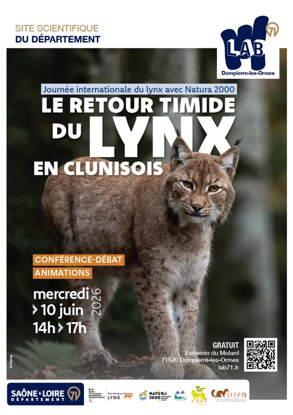 Média additionnel 1