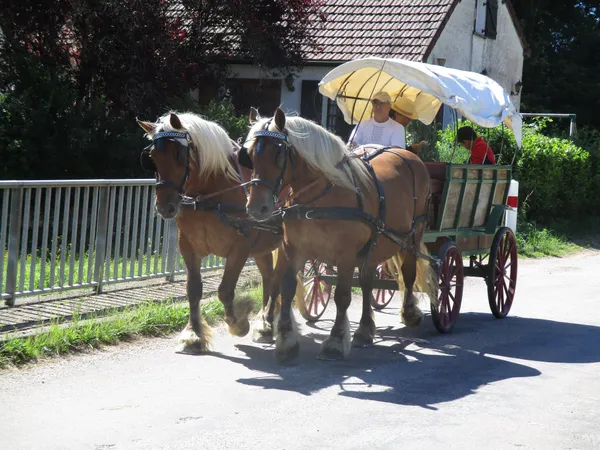 Promenade Alluysienne en calèche