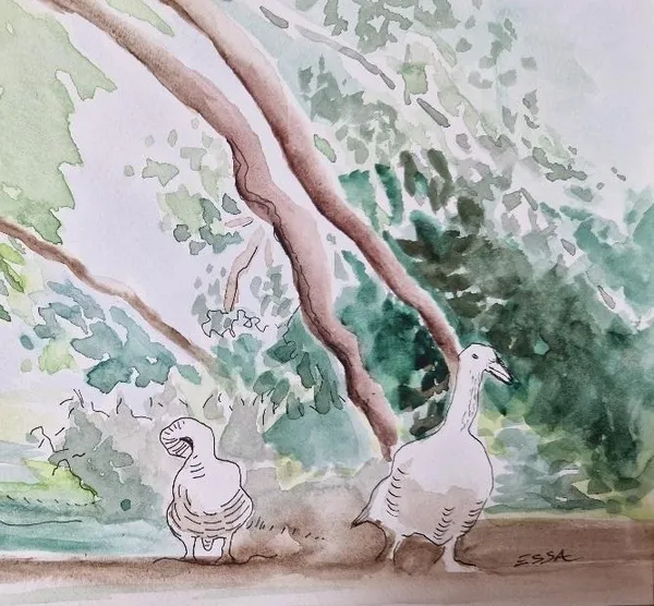 Stage d'aquarelle