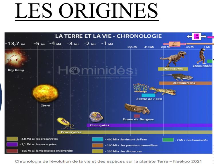 Média additionnel 1