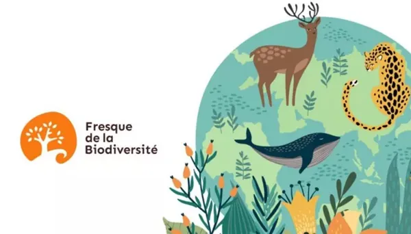 Les oiseaux des rivières et NaturaList à Vergigny