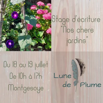 Média additionnel 1