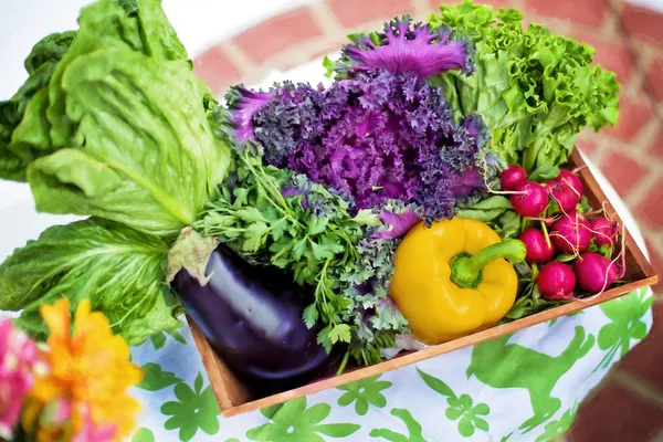 Marché de producteurs à Maynal tous les vendredis