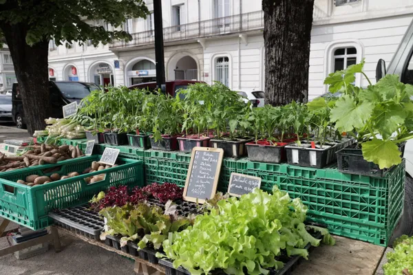 Marché de producteurs