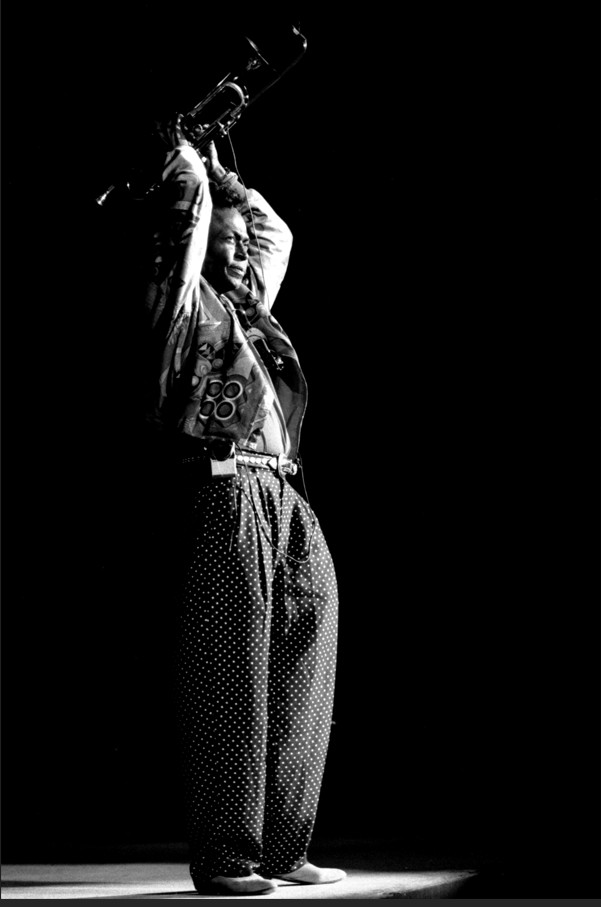 Exposition : Miles Davis à travers les pochettes de ses vinyles