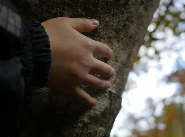 Projection documentaire : "Natura"