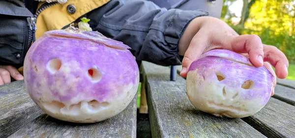 Halloween nature, Les alliés de l'ombre
