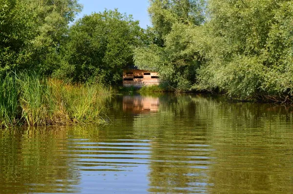 Printemps des ENS de Saône-et-Loire : les oiseaux entrent en scène