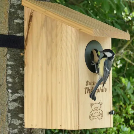 Crée et personnalise ton nichoir à oiseaux !