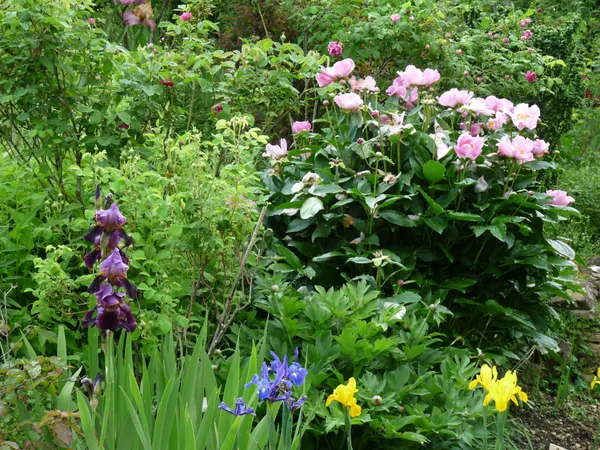 Visite du jardin de Valentine
