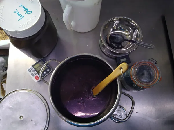 Stage de Teinture Naturelle : Première cuve d'Indigo