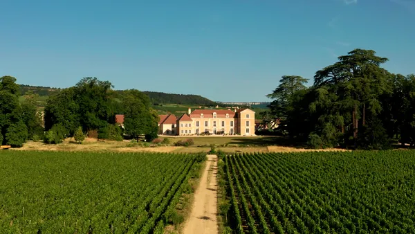 Château de Meursault - Dégustation "VENTE DES VINS"