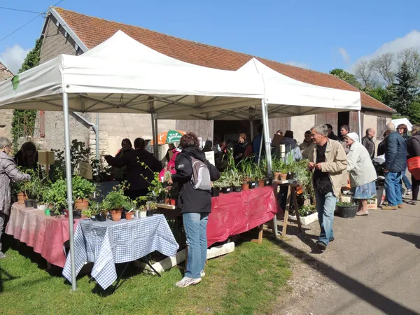 Troc aux plantes et Vide grenier