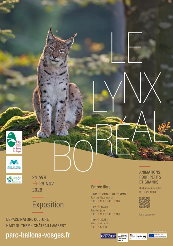 Il était une fois …. un Lynx !